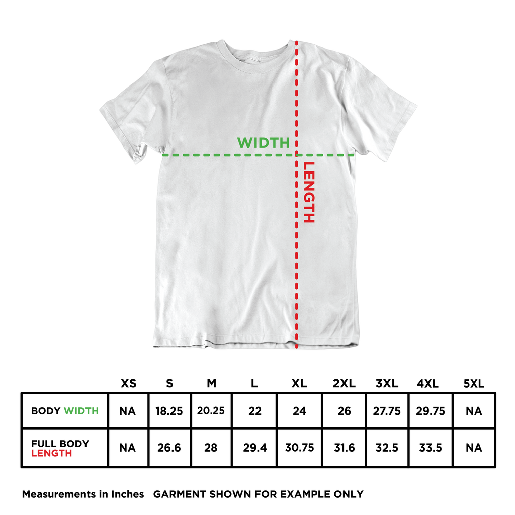 Big Bowl 2025 Tour T-shirt